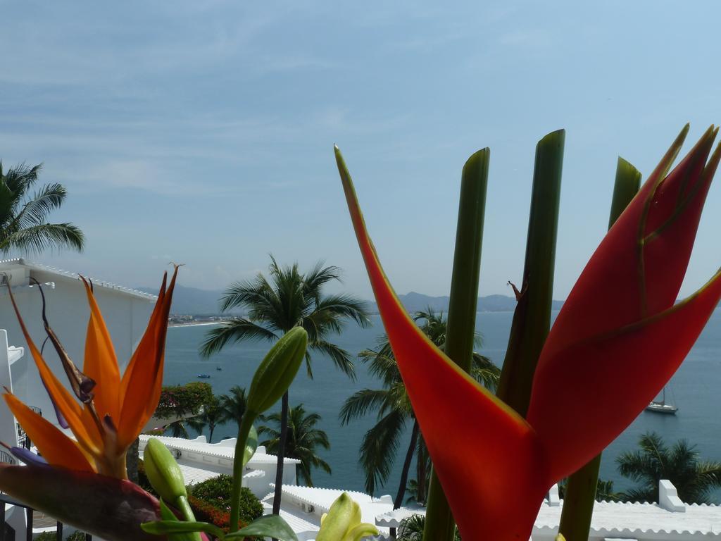 Dolphin Cove Inn Manzanillo Dış mekan fotoğraf