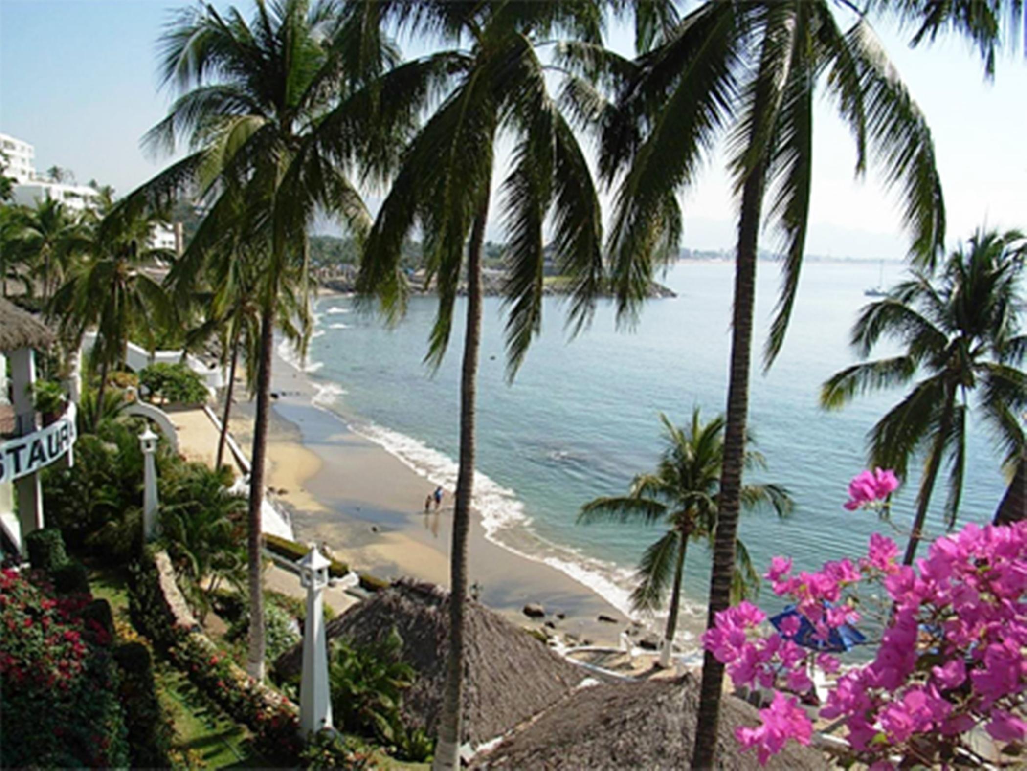 Dolphin Cove Inn Manzanillo Dış mekan fotoğraf